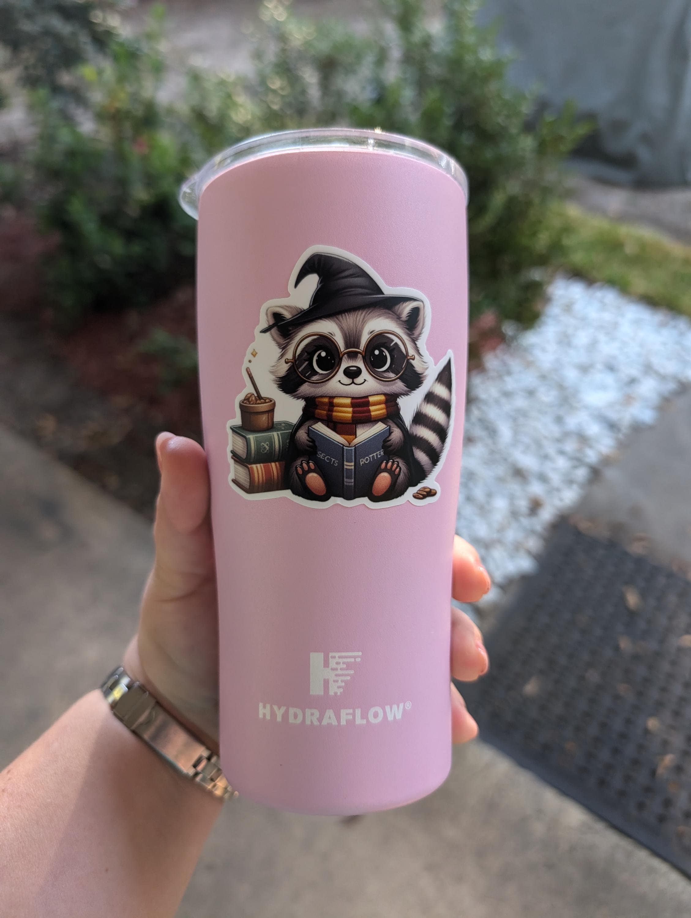 Adorable Raccoon Vinyl Stickers, Cute Sticker Pet Decals, Pet Best Friends Decals, Raccoon Sticker, Water bottle sticker, Die cut sticker
